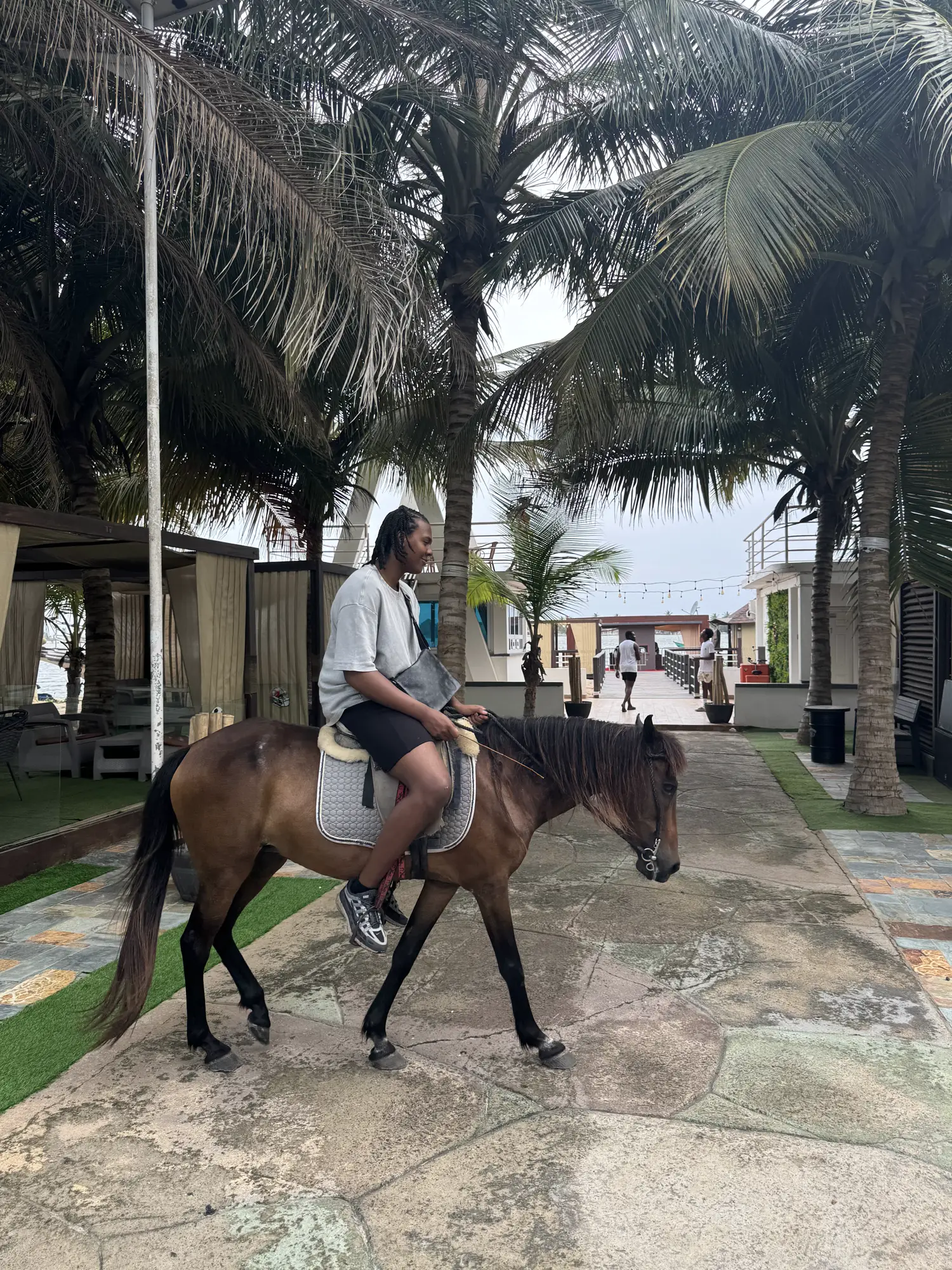 Horse Riding